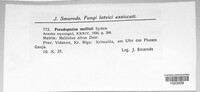 Image Associated With the Occurence